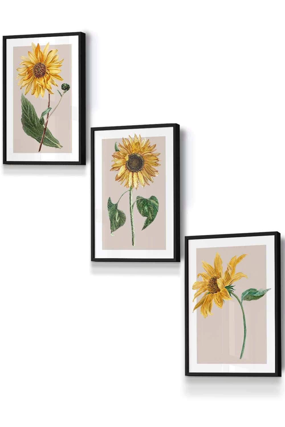 Set of 3 Black Framed Vintage Sunflowers on Beige Wall Art